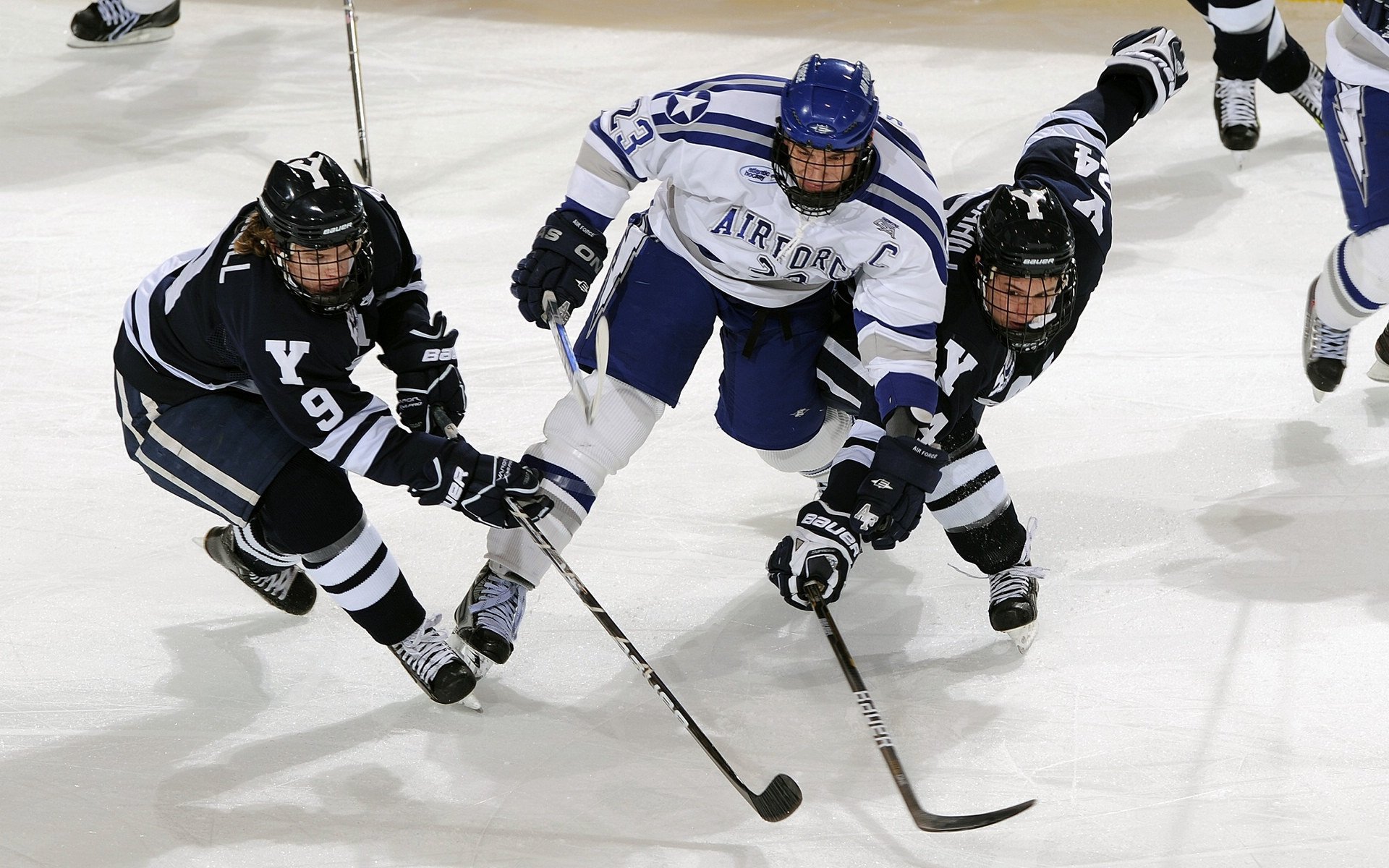 摩洛哥马术协会与科技公司合作，开发虚拟现实训练平台，提升骑手技能。